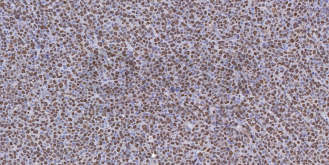 d1cfa377db0ef08094e8dc416a7676e7