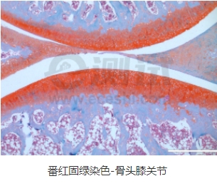 微信截圖_20240719163523