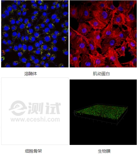 微信截圖_20240719155834