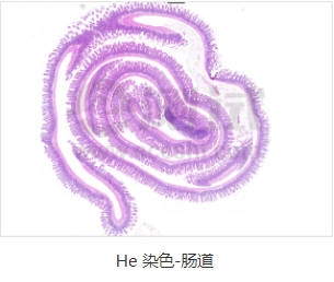 微信截圖_20240719163154