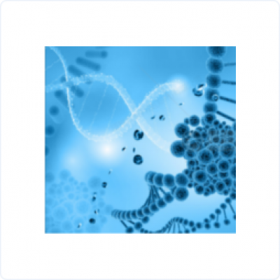 base64_image base64_image