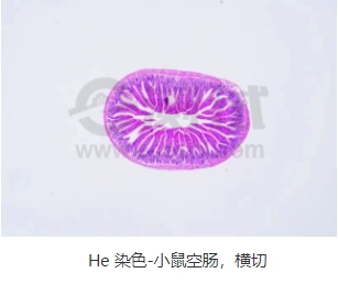 微信截圖_20240719162913