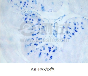 微信截圖_20240719163944