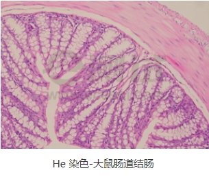 微信截圖_20240719162927