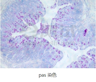 微信截圖_20240719163929