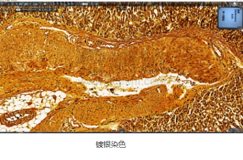 微信截圖_20240719164054