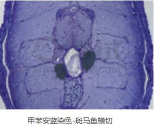 微信截圖_20240719163428