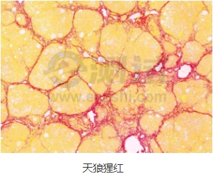 微信截圖_20240719163956