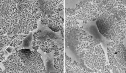 6b08c3777cf9d0ad5cd0dae1e04d5888 6b08c3777cf9d0ad5cd0dae1e04d5888