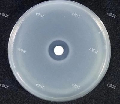 微信截圖_20240704154119