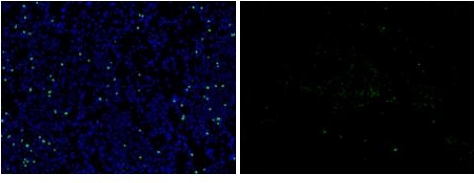 微信截圖_20240719161650