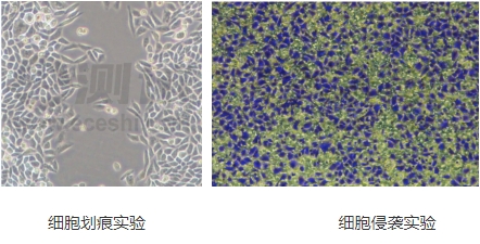 微信截圖_20240719160921