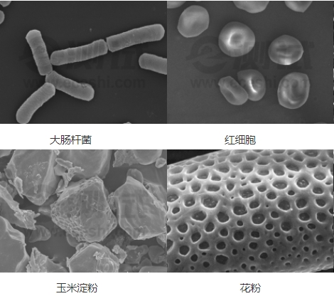 微信截圖_20240719154423