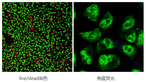 微信截圖_20240709134120