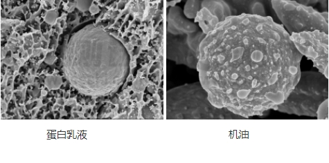 微信截圖_20240719155320