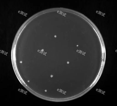 微信截圖_20240704154106 微信截圖_20240704154106