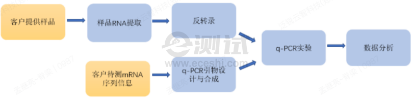 6228e64d43dc298d10587bca8310d317 6228e64d43dc298d10587bca8310d317