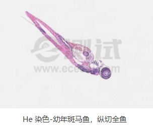 微信截圖_20240719162938