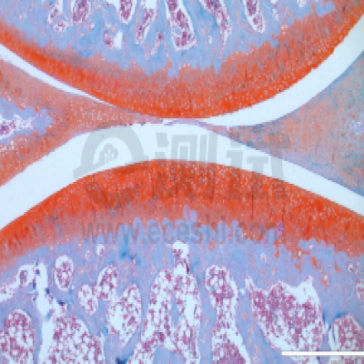 8dd39eafa603954749ebba449928952d_530a4c803769dd9.jpeg 8dd39eafa603954749ebba449928952d_530a4c803769dd9.jpeg