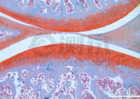 39658667a0af1b627aa0da542c66aaa6 39658667a0af1b627aa0da542c66aaa6