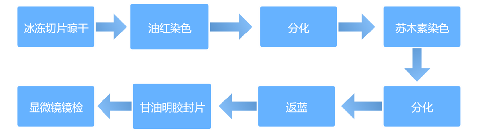 1643181081187707 1643181081187707