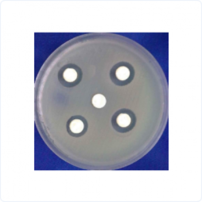 e5b18181344150bc62de80079126e76b_400x400_auto.jpg e5b18181344150bc62de80079126e76b_400x400_auto.jpg