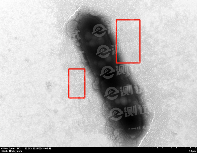 微信截圖_20241025104432