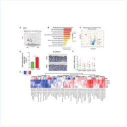 base64_image base64_image