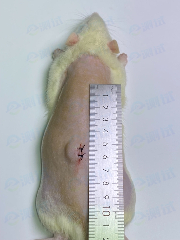 43d34e99e9318dfb71fb4f2990d4de2