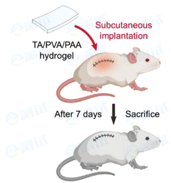 f50ff4cf-826c-4b75-b2b0-4032077e9e6c