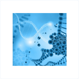 base64_image base64_image