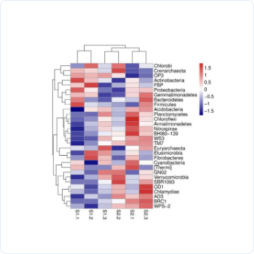 base64_image base64_image