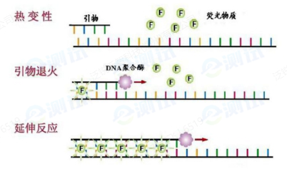 微信截圖_20241203134605 微信截圖_20241203134605