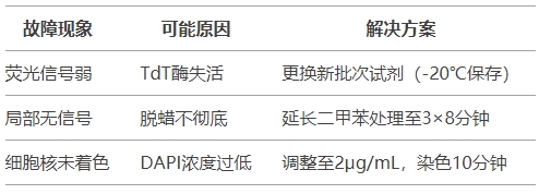 微信截圖_20250417151808 微信截圖_20250417151808