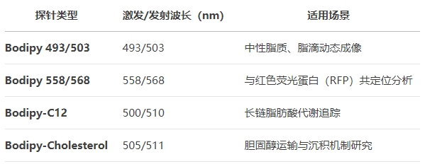 微信截圖_20250430170253