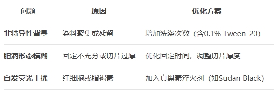 微信截圖_20250430170324