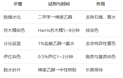 微信截圖_20250427143626