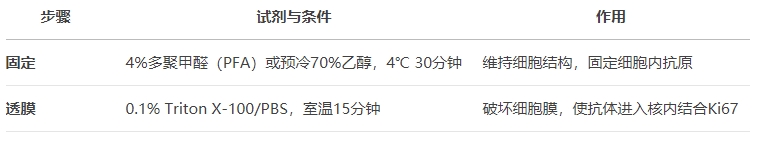 微信截圖_20250526111425