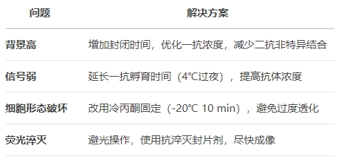 微信截圖_20250521103704