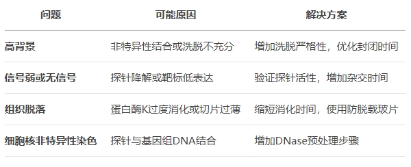 微信截圖_20250508133323