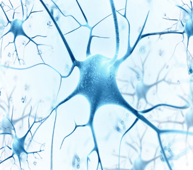 細(xì)胞生物平臺(tái)