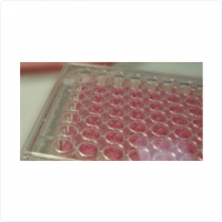 血液相容性測(cè)試