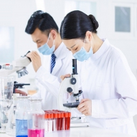 凈化產(chǎn)品的除病毒試驗(yàn)