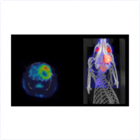 蛋白質(zhì)含量測試