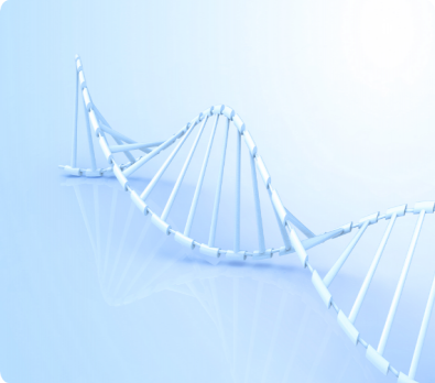 形態(tài)病理平臺(tái)